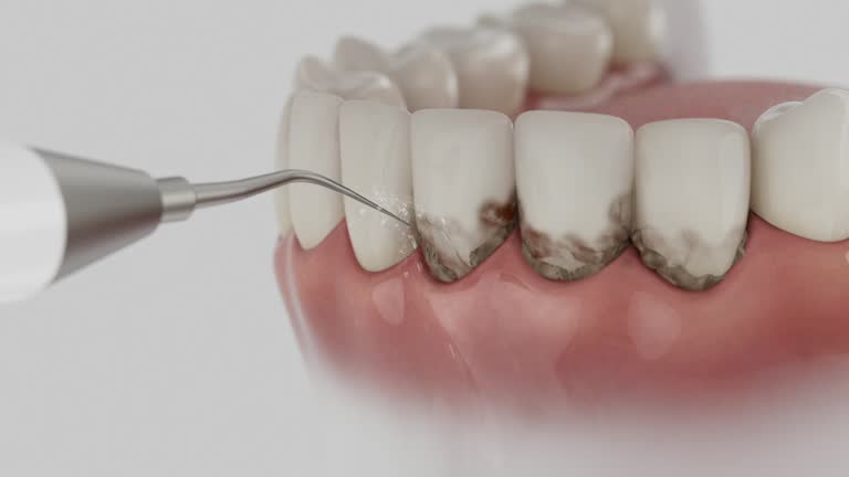 Reliable Dental contractor in University of Pittsburgh Johnstown, PA by Dentist Open Now